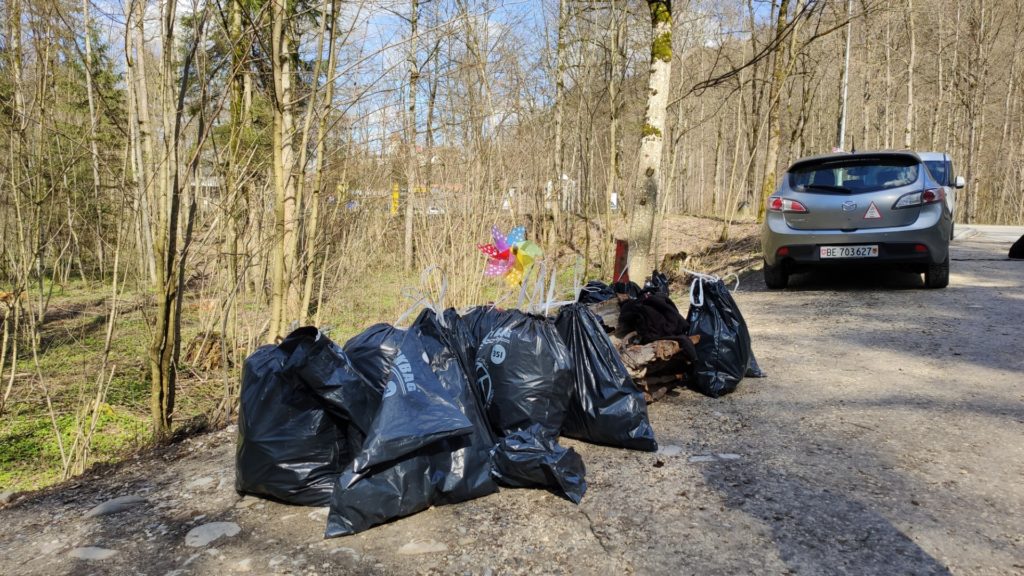 Abfalldeponie in Wald