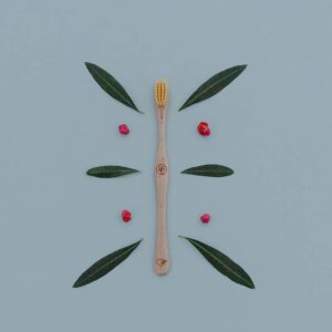 Holzzahnbürste präsentiert