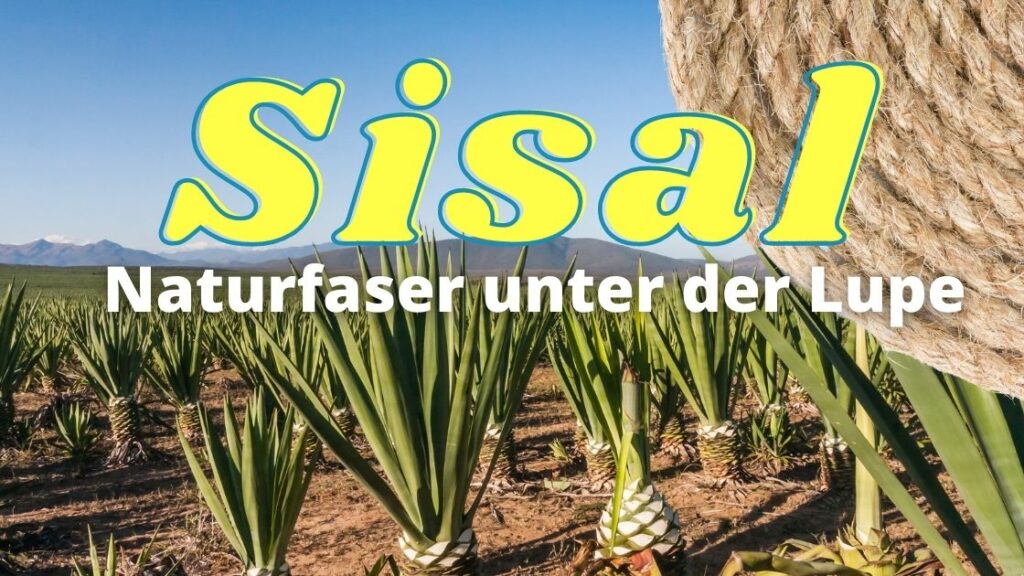 Sisal