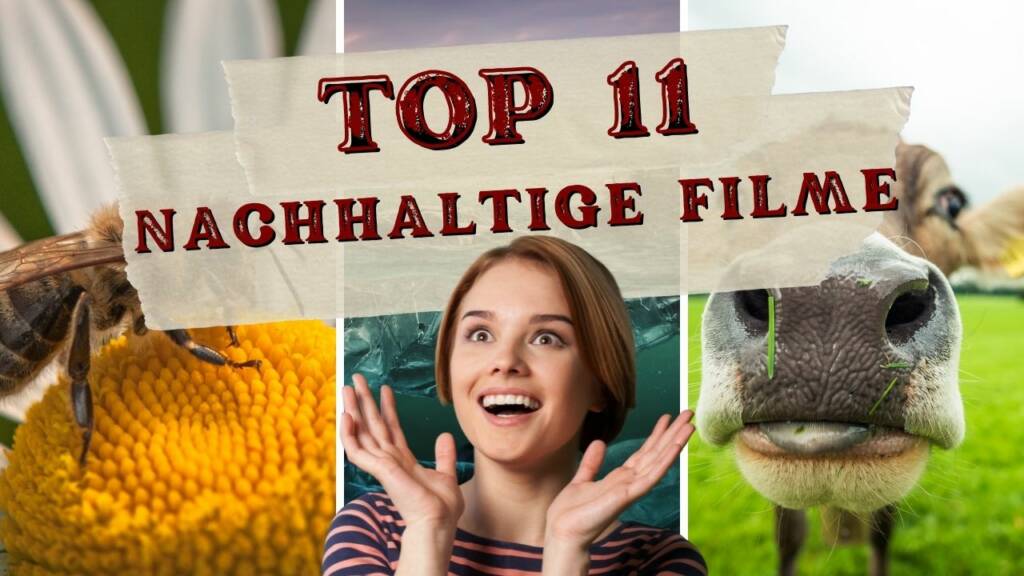 Top 11 Nachhaltige Filme