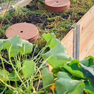 WormUp Tube im Hochbeet