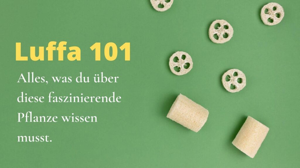 Luffa Titelbild