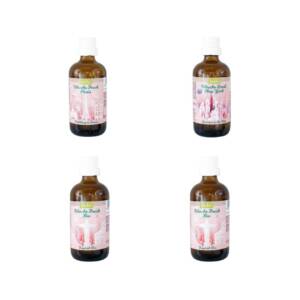 Wäscheparfüm 4er Pack