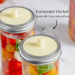Fermentieren Starter Set Aufsätze