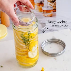 Fermentieren Starter Set Glasgewichte